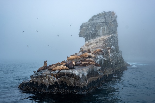 Why the Greek Islands Are Longing for Tourists: A Surprising Return to Serenity